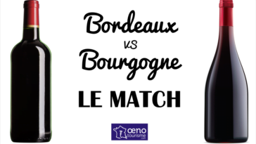 Bordeaux Bourgogne Quiz Wijnquiz Alcohol drank VragenVuur test kennis lijsten overzicht weetjes feiten Franse druiven Frankrijk druivensoort