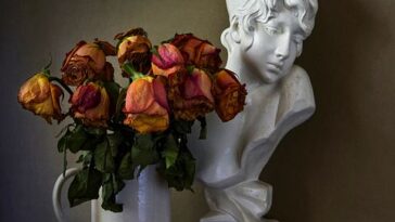 Quiz Nederlands schrijfsters VragenVuur Auteurs boeken 20e Best Lijst eeuw 21e jaren top-10 boeken biografie