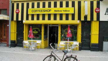 Quiz Nederlandse coffeeshops Feitjes weetjes lijst top-10 populairste grootste bekendste oudste eerste Amsterdam wiet hasj blowen smoken joint jonko Nederland roken