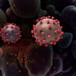 Coronavirus Meest Bekeken Wikipedia Pagina's 2020 wereldwijd ter wereld lijst VragenVuur