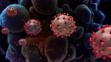 Coronavirus Meest Bekeken Wikipedia Pagina's 2020 wereldwijd ter wereld lijst VragenVuur