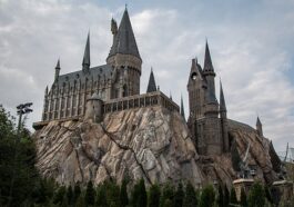 Quiz Harry Potter Nederlands Test Persoonlijkheidstest Zweinstein Welke Afdeling Zou jij ik terecht komen waar bij het best passen vragen grifoendor zwadderich ravenklauw of huffelpuf