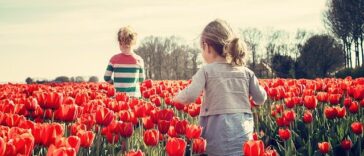 Quiz over Nederland Geografie topografie geschiedenis van Nederlandse steden Europa Lijst top-10 weetjes VragenVuur feiten